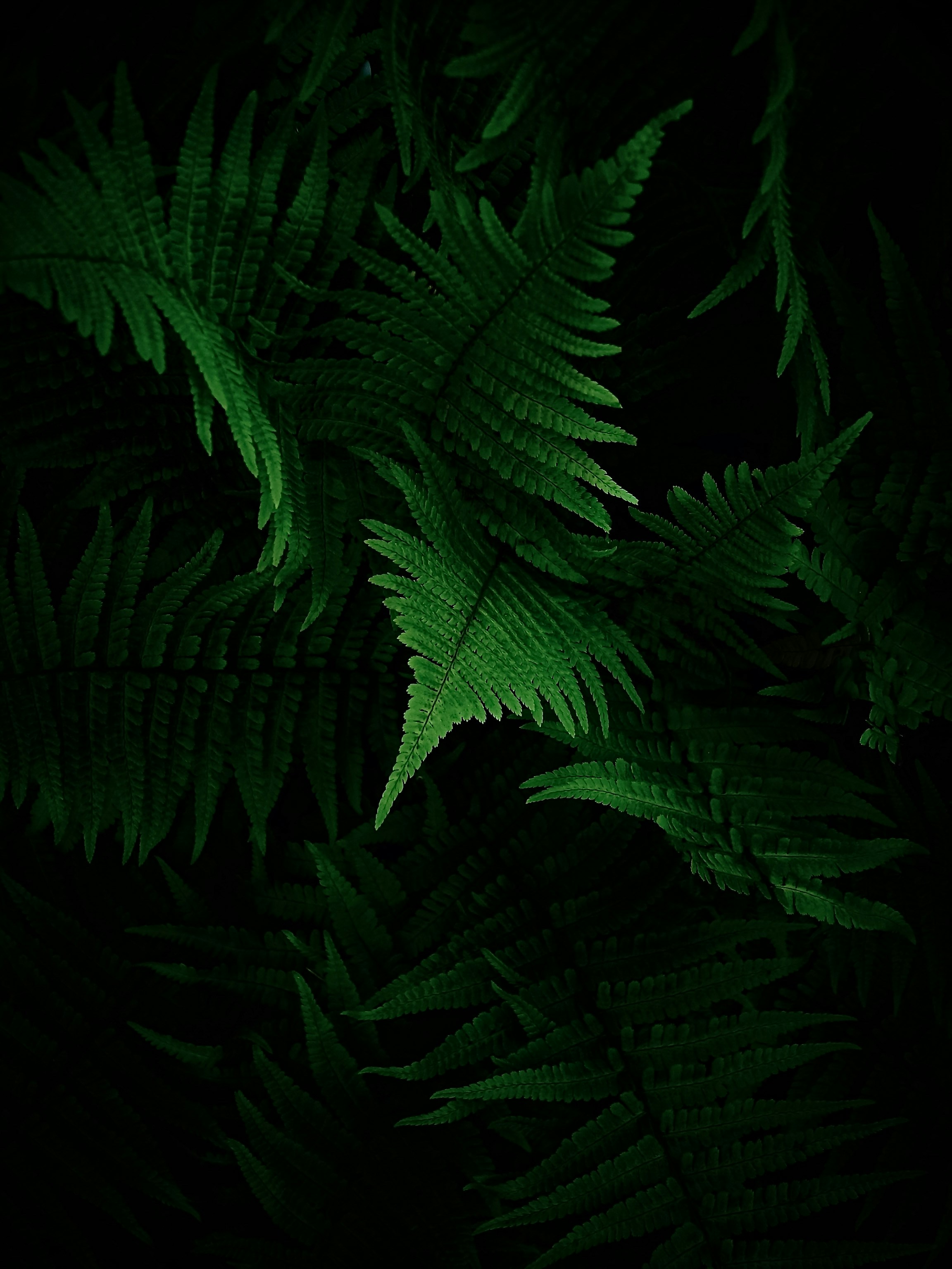 WanderStudio